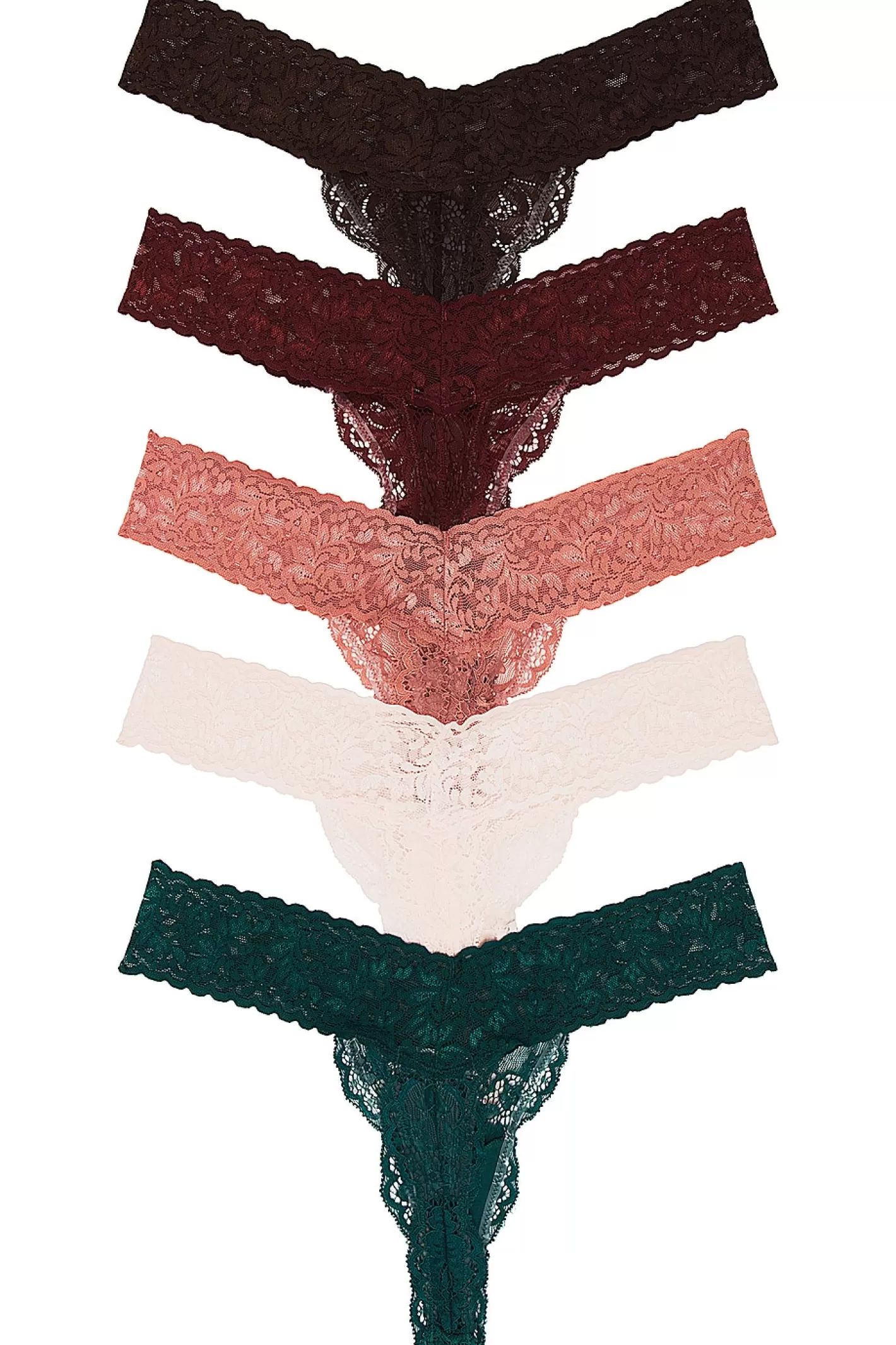 Violet Lace Thong 5 Pack>Privacy Please Shop